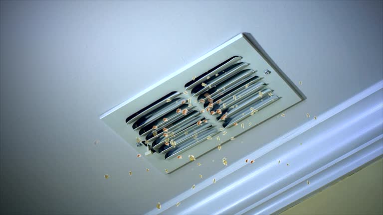 Best Professional Duct Cleaning Services  in Wlow Springs, IL