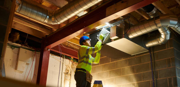 Best Duct Cleaning Specialists  in Wlow Springs, IL