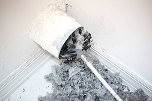 Best Affordable HVAC Duct Cleaning  in Wlow Springs, IL